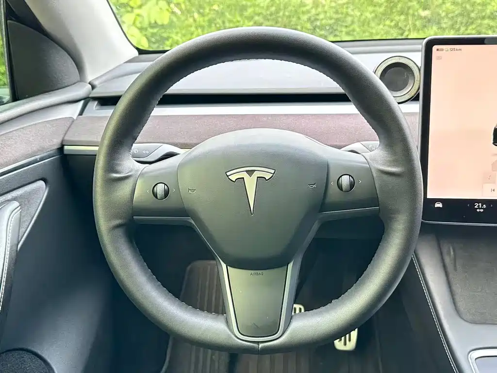 Tesla Model Y — миниатюра 7