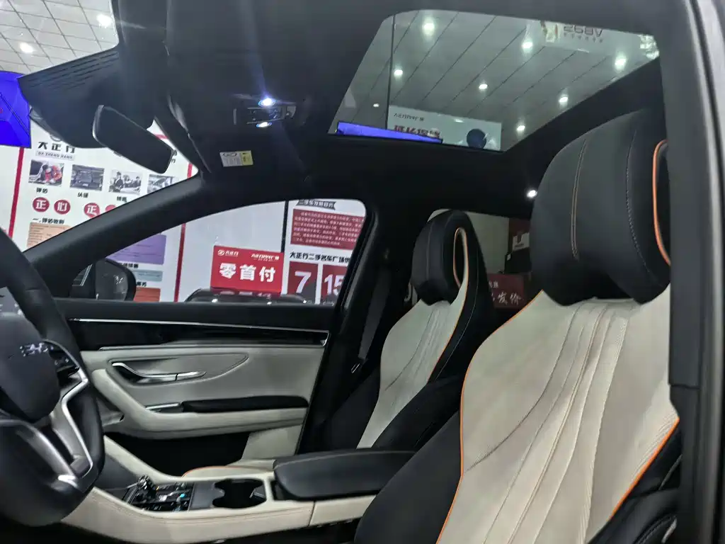 BYD PLUS New Energy — миниатюра 15
