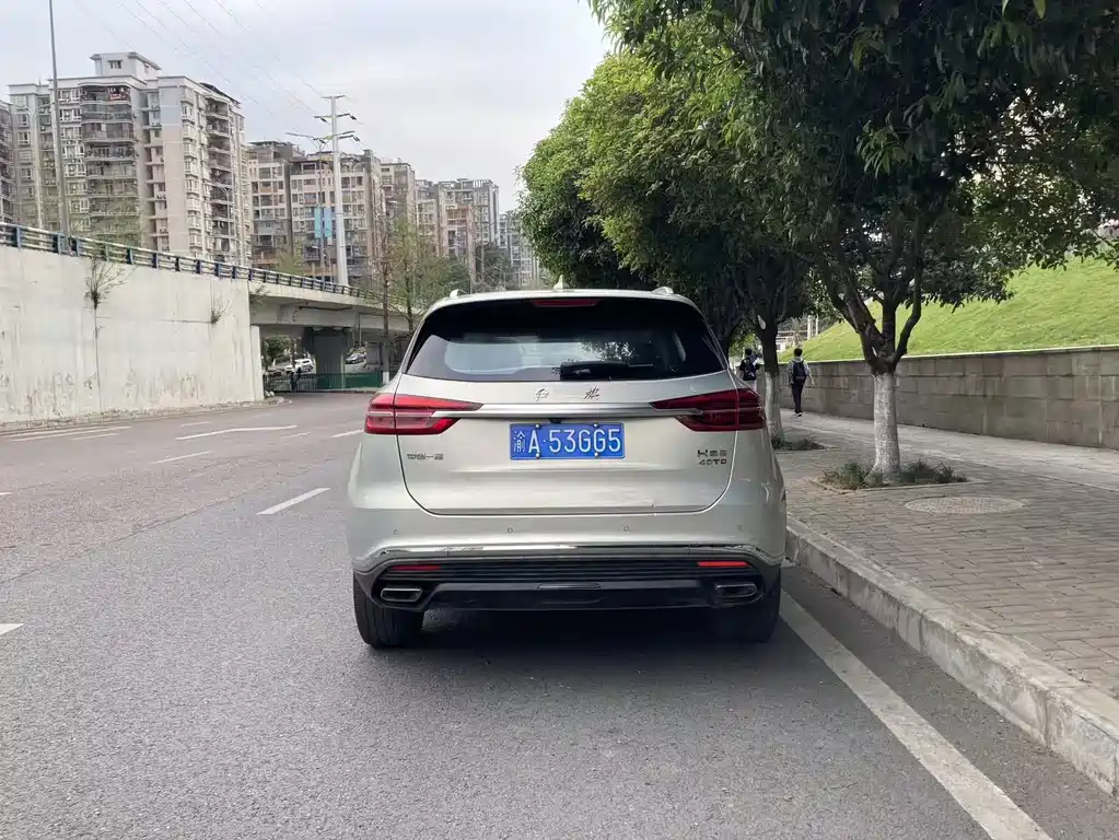 Hongqi HONGQI HS5