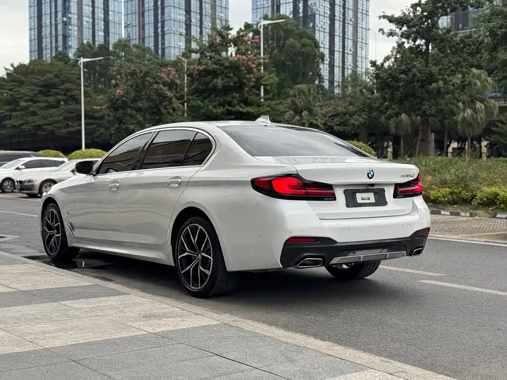 BMW 5 SERIES