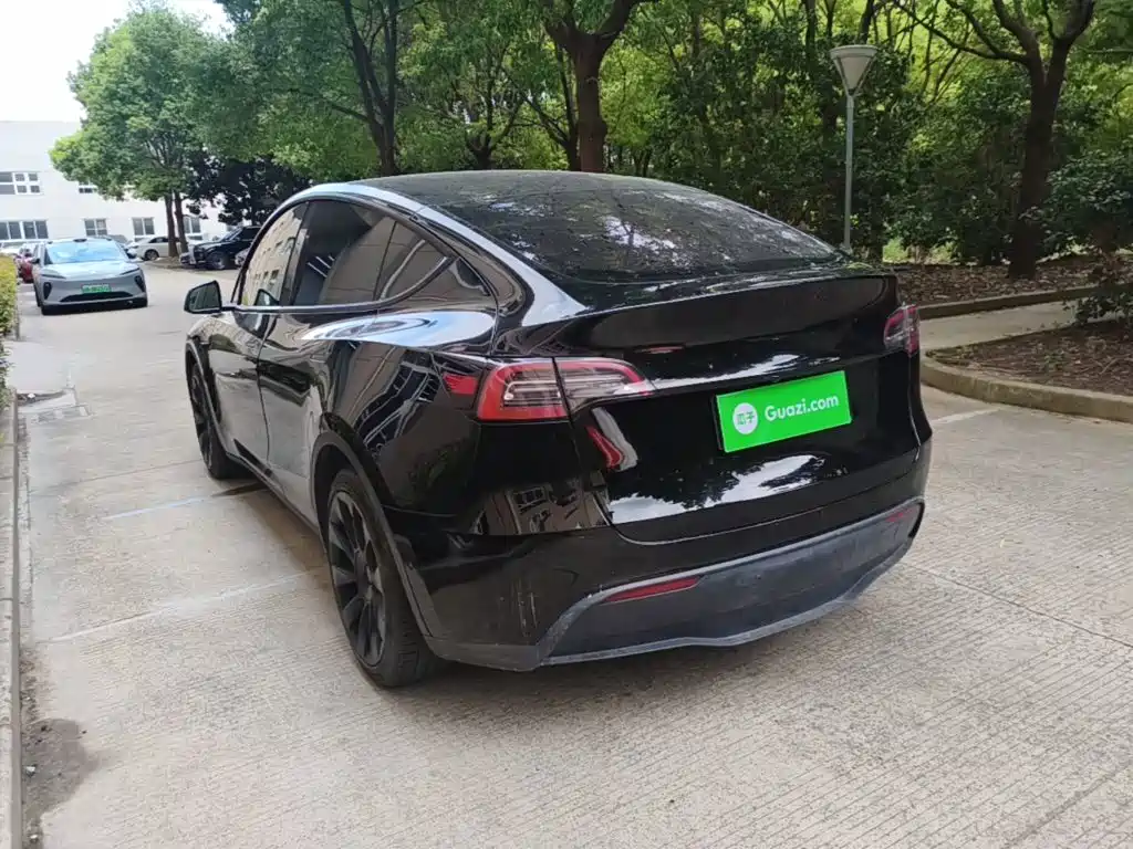 Tesla Model Y — миниатюра 5