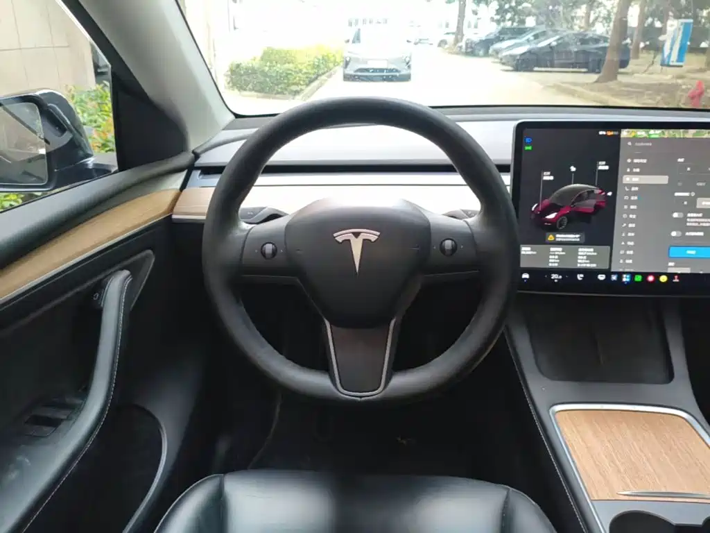 Tesla Model Y — миниатюра 11