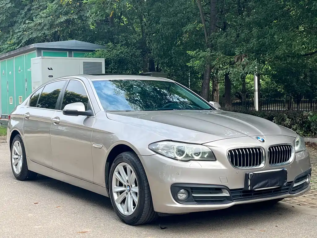 BMW 5 Series — миниатюра 3
