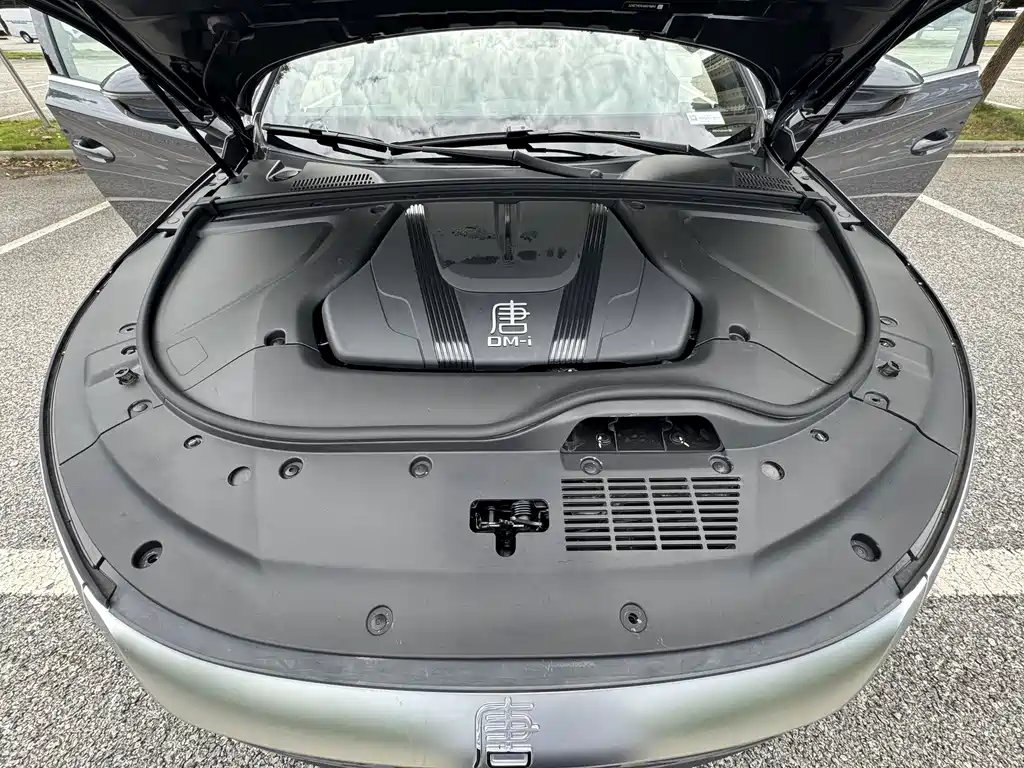 BYD Tang New Energy — миниатюра 27