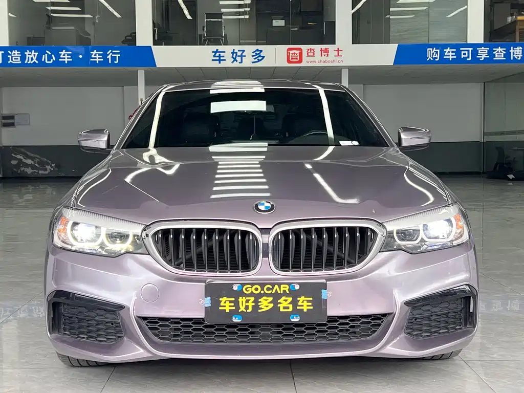 BMW 5 Series (Import) — миниатюра 2