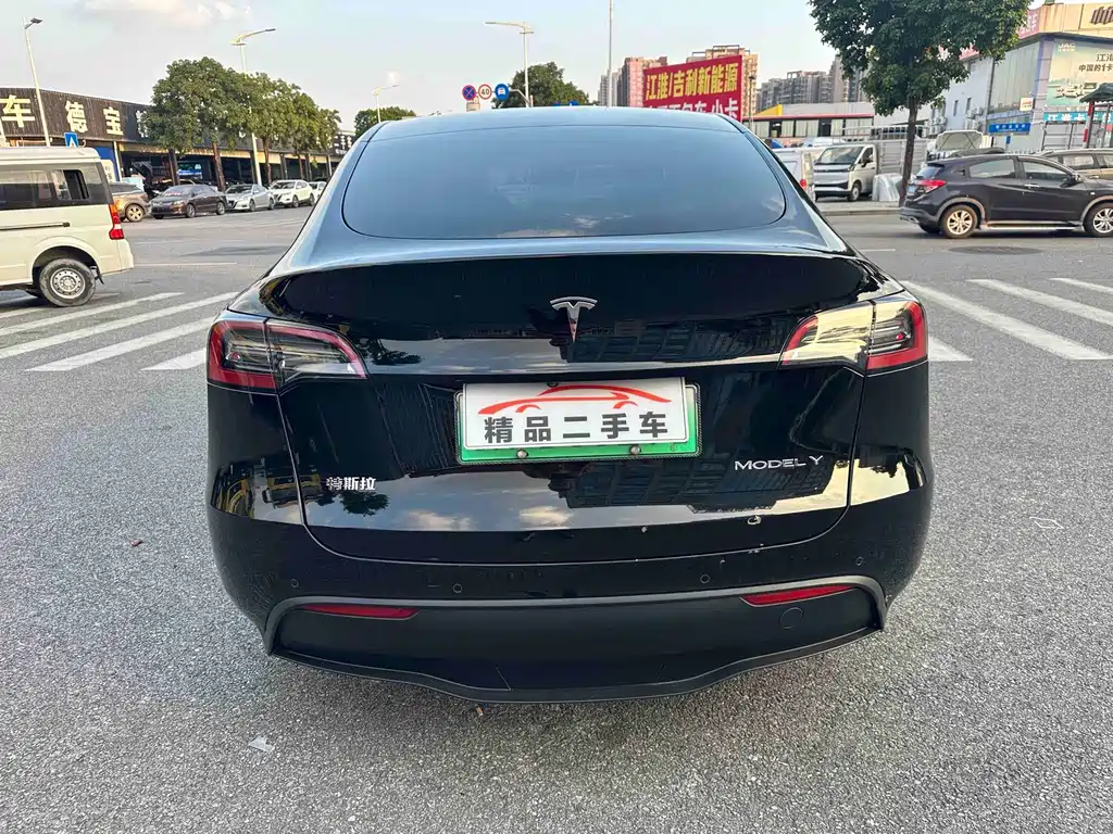 Tesla Model Y — миниатюра 6