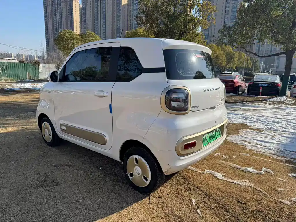 BESTUNE PENTIUM PONY