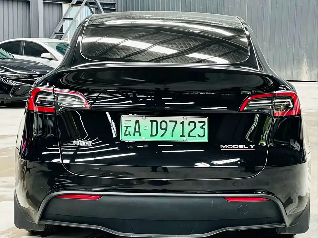 Tesla Model Y — миниатюра 5