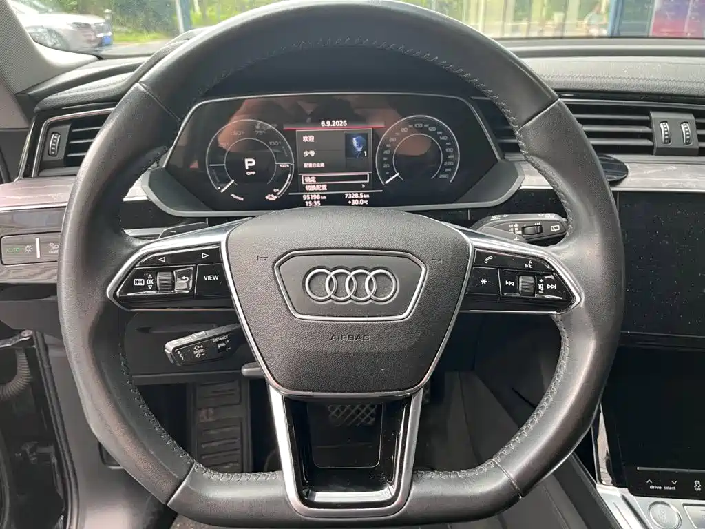 Audi e-tron (Import) — миниатюра 11