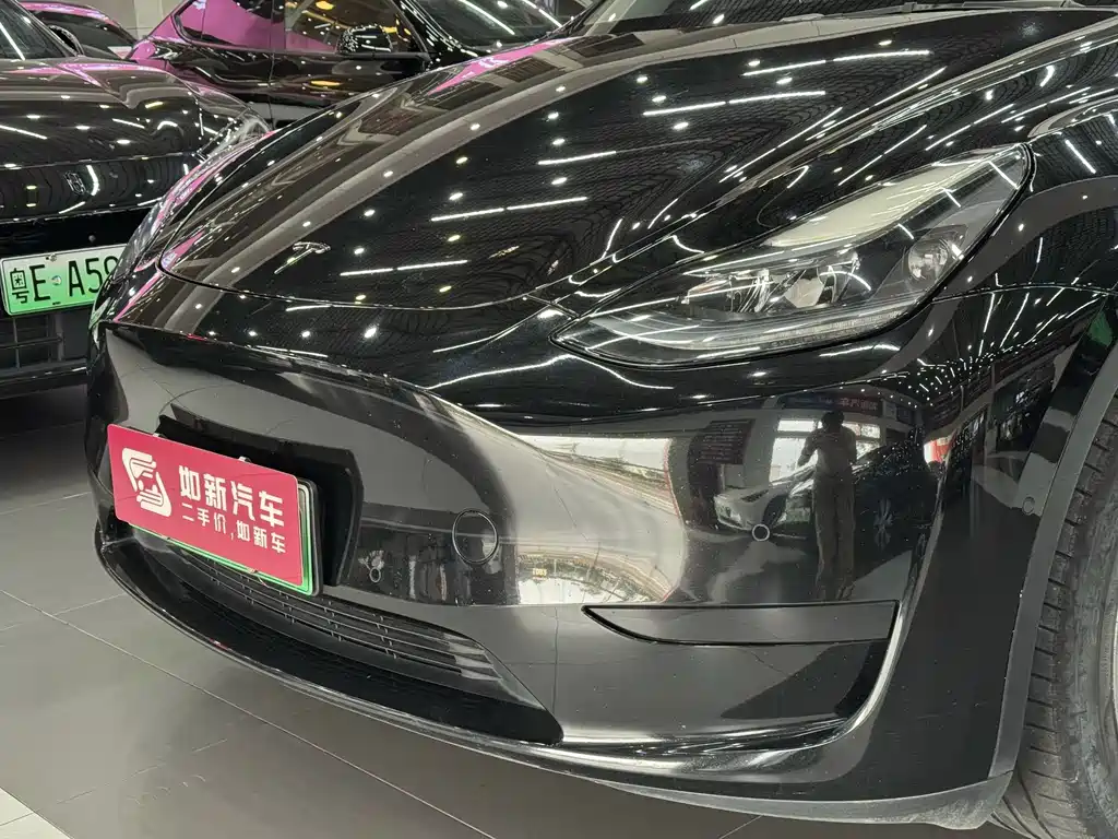 Tesla Model Y — миниатюра 3