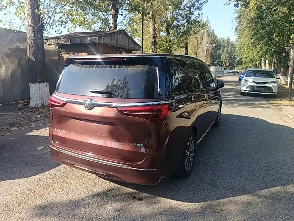 Buick GL8 — миниатюра 7