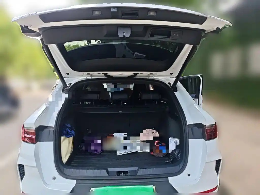 BYD PLUS New Energy — миниатюра 10