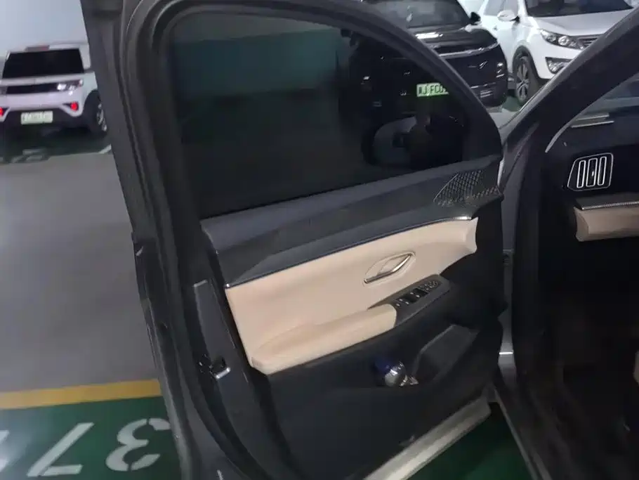BYD Pro New Energy — миниатюра 7