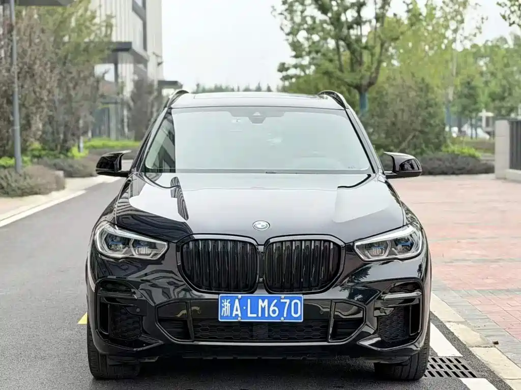 BMW X5 — миниатюра 2