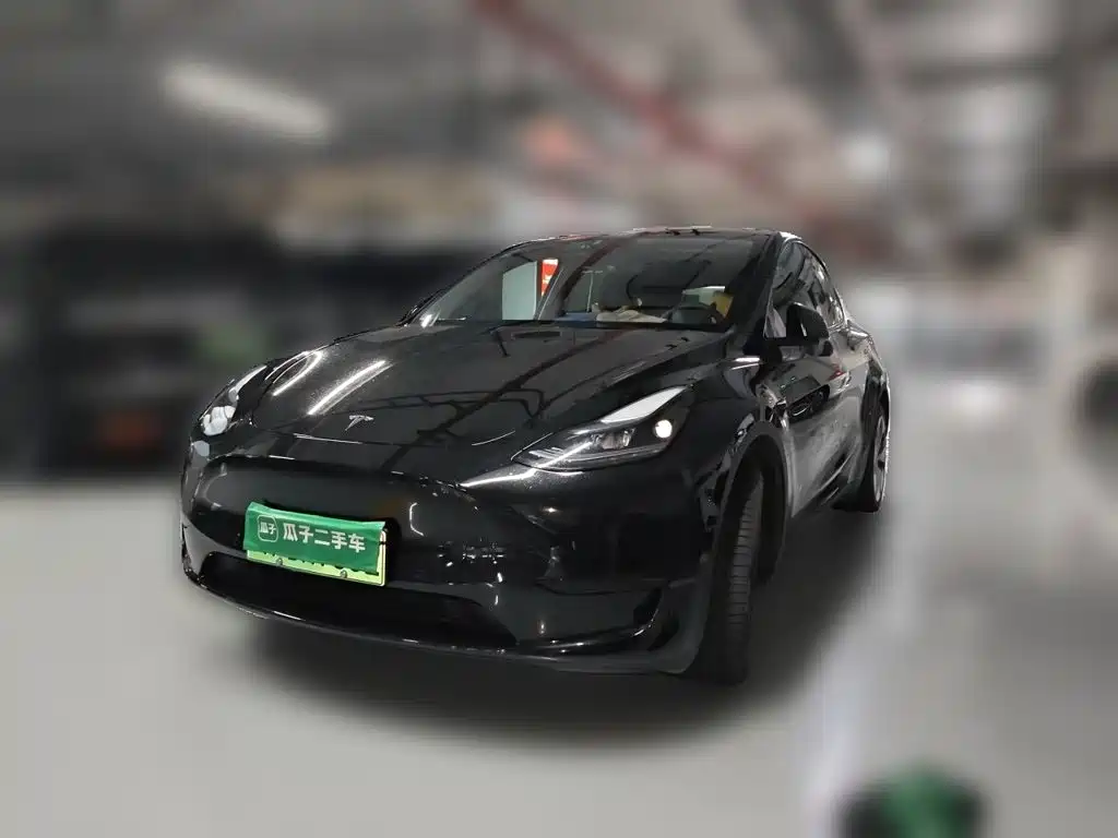 Tesla Model Y — миниатюра 2
