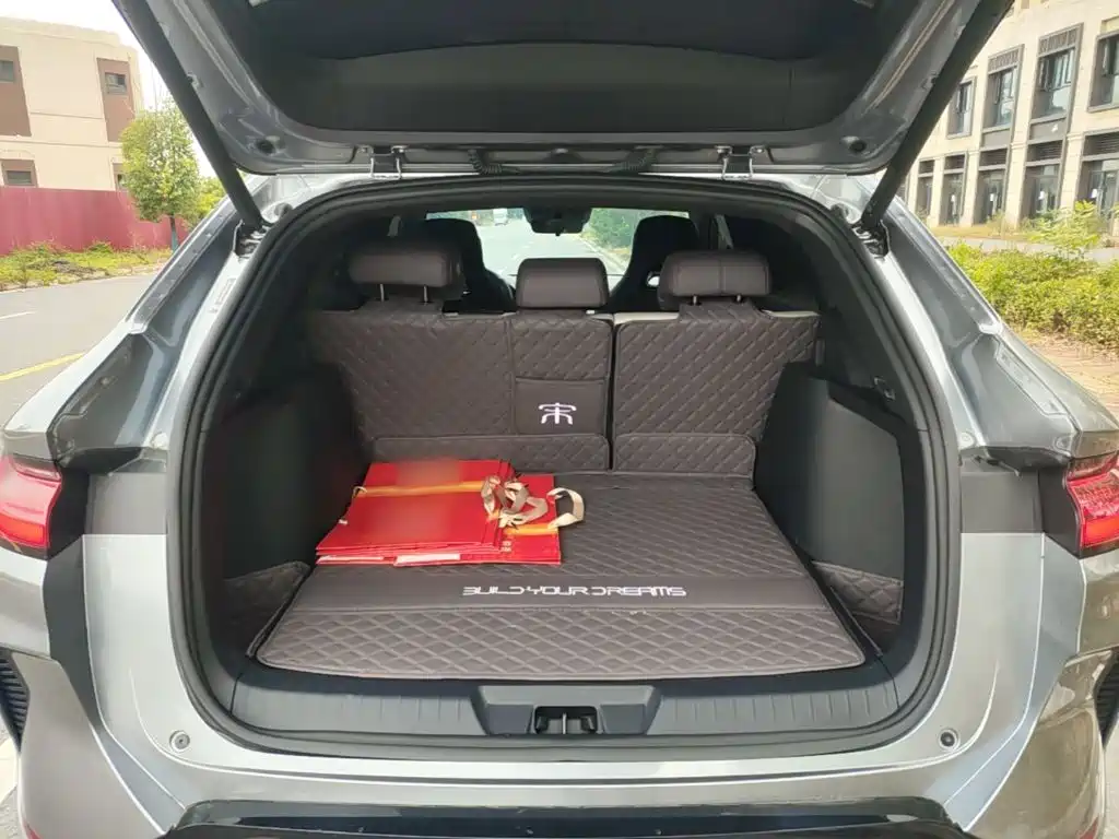 BYD PLUS New Energy — миниатюра 19