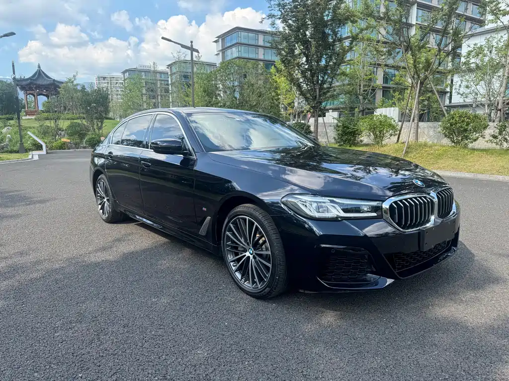 BMW 5 Series — миниатюра 2