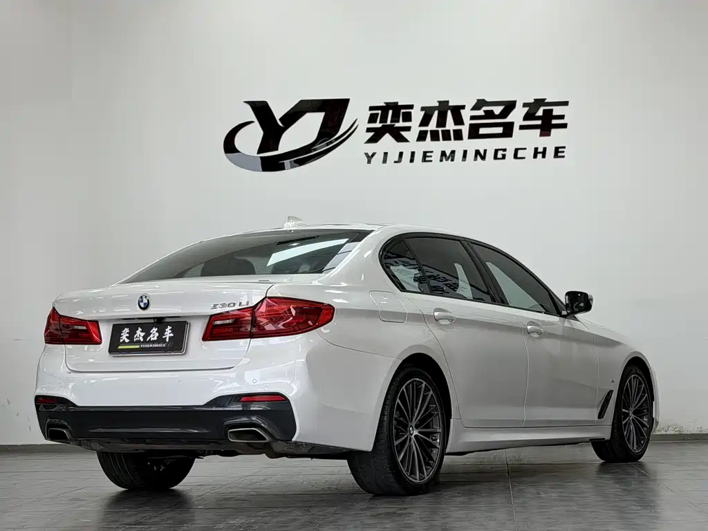 BMW 5 Series 5 2019 530Li Premium M Sport
