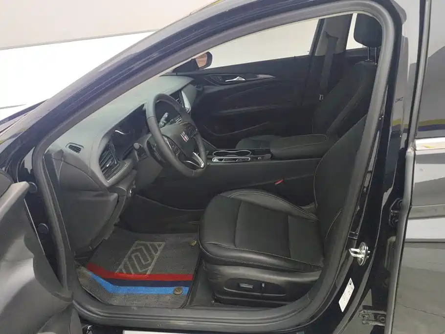 Buick Regal — миниатюра 9