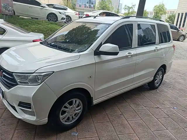 2020 Wuling Motors Hongguang