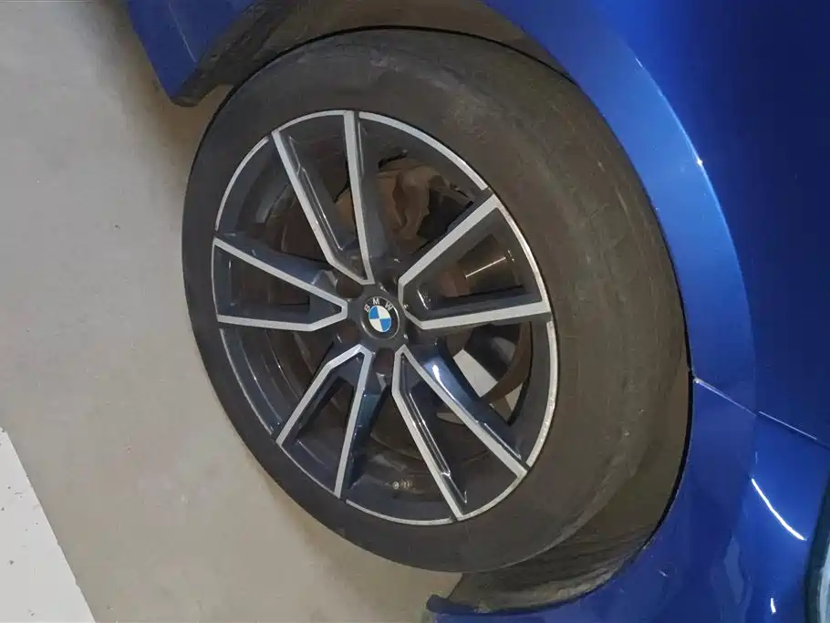 BMW 3 Series 3 2020 325Li