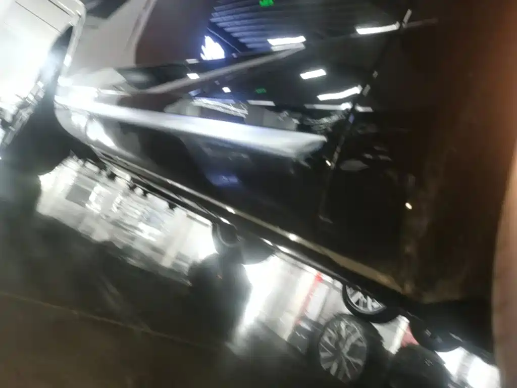 GAC Motor Trumpchi Xiangwang S9 — миниатюра 21