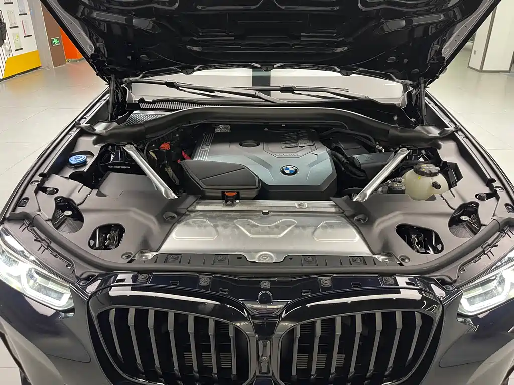 BMW X3 — миниатюра 33