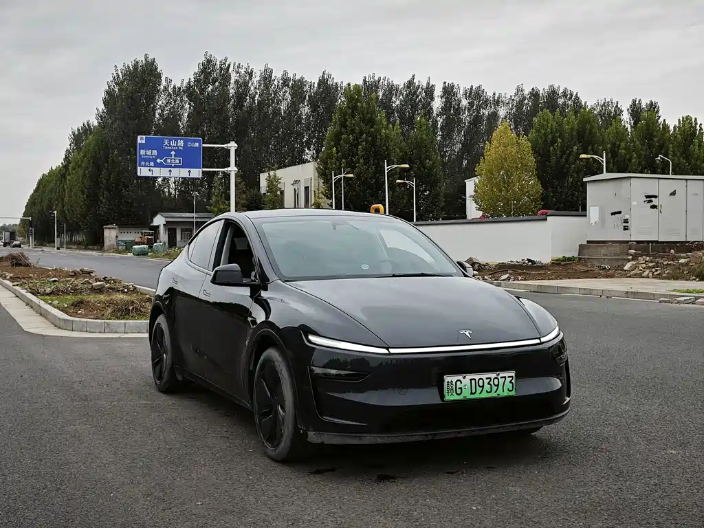 Tesla Model Y — миниатюра 3