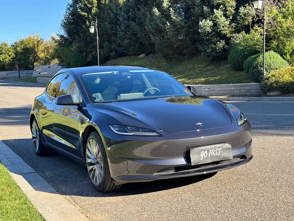 Tesla Model 3 — миниатюра 3