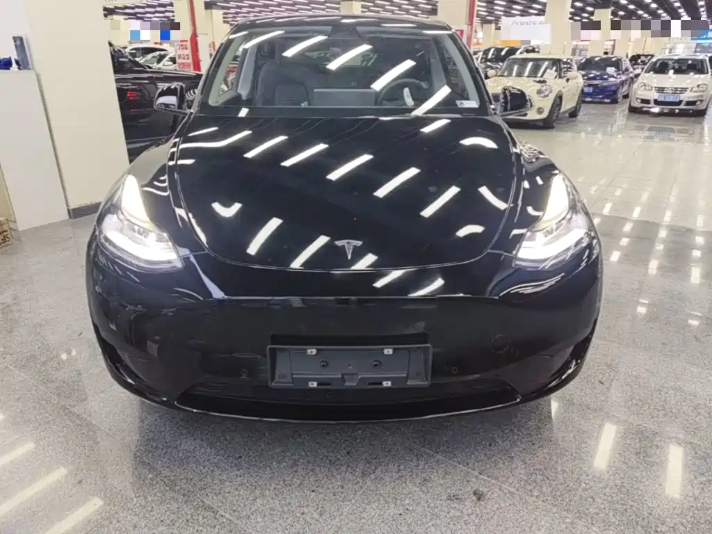 Tesla Model Y — миниатюра 3