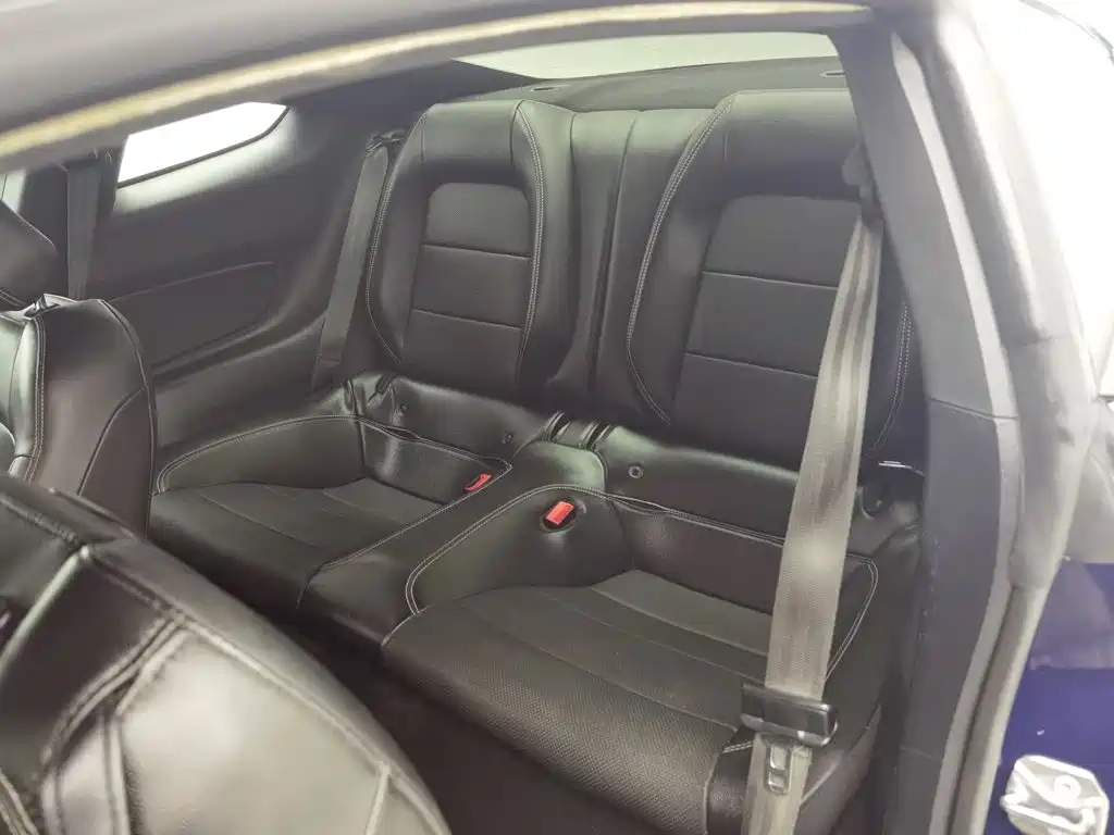 Ford Mustang — миниатюра 15