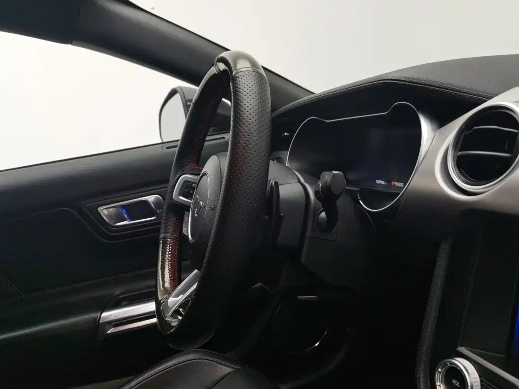 Ford Mustang — миниатюра 22