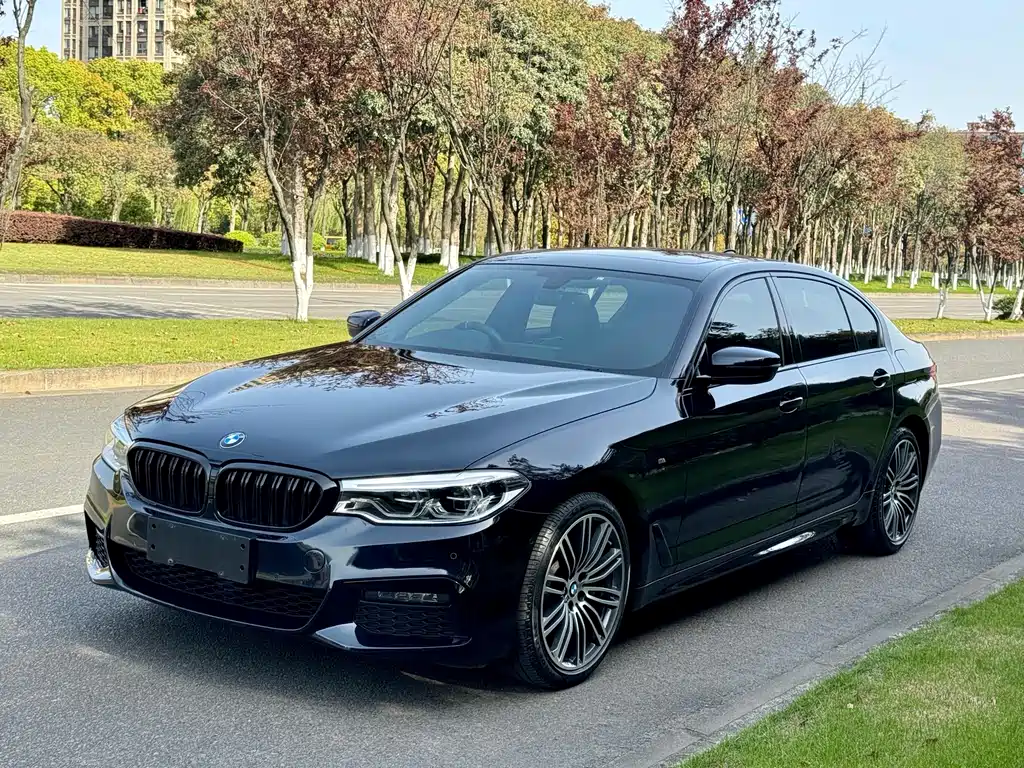 BMW 5 Series 2019