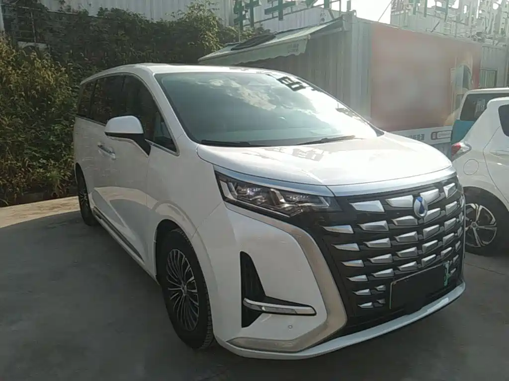 Denza Denza D9 — миниатюра 4