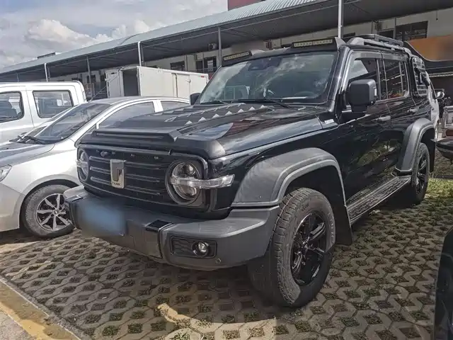 2021 TANK 300