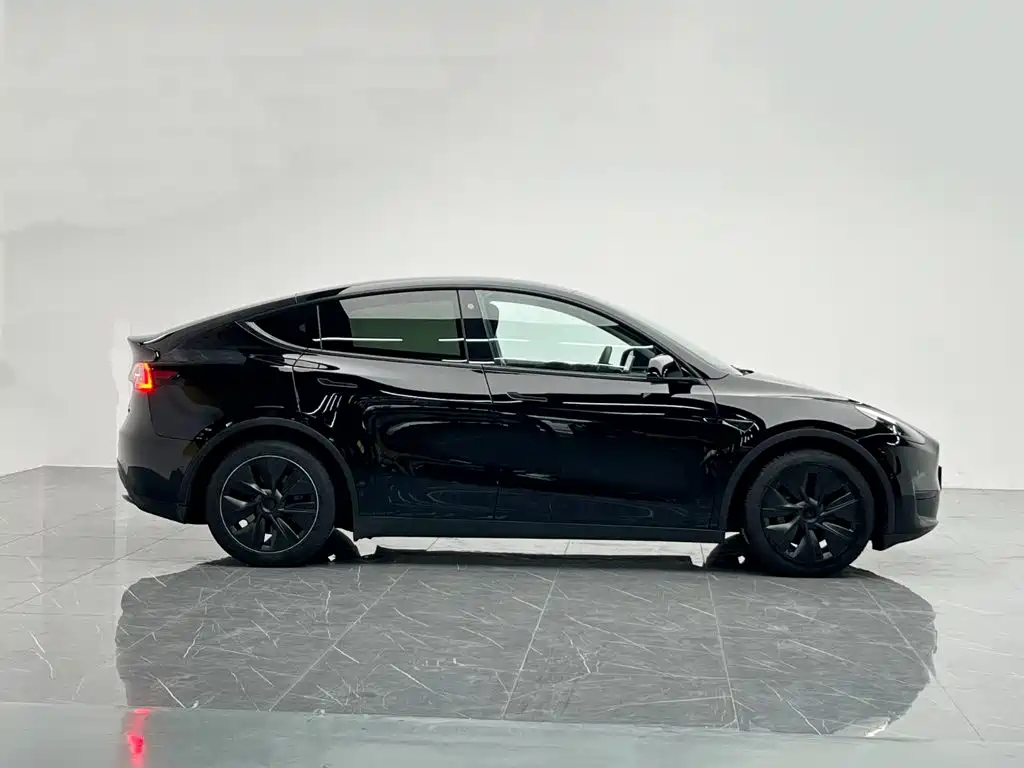 Tesla Model Y — миниатюра 7