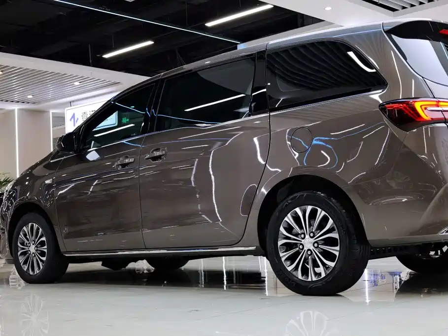 Buick GL8 — миниатюра 12