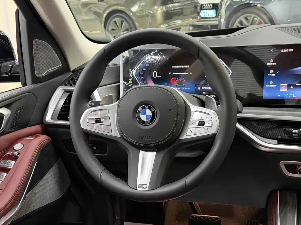 BMW X5 — миниатюра 5