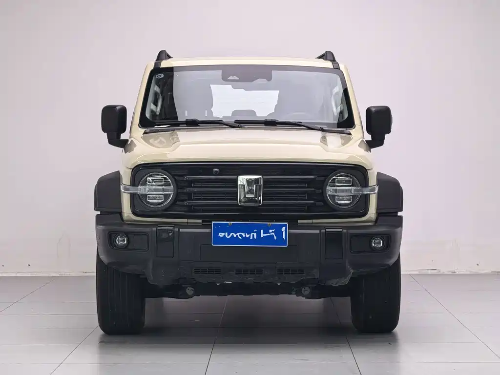 Tank 300 2.0T Gasoline Conqueror