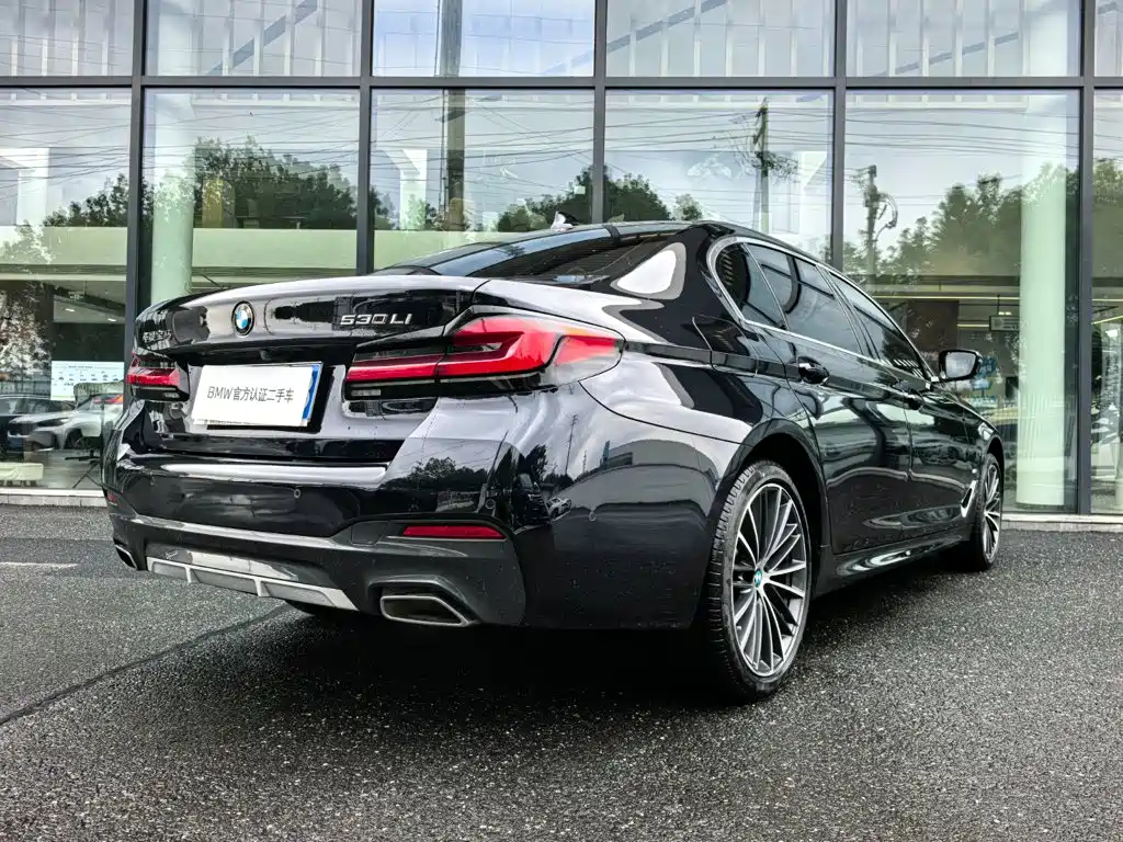 BMW 5 Series — миниатюра 2