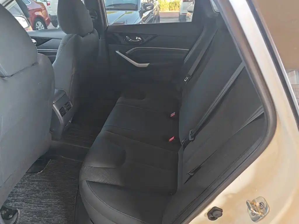 Venucia D60 EV — миниатюра 17