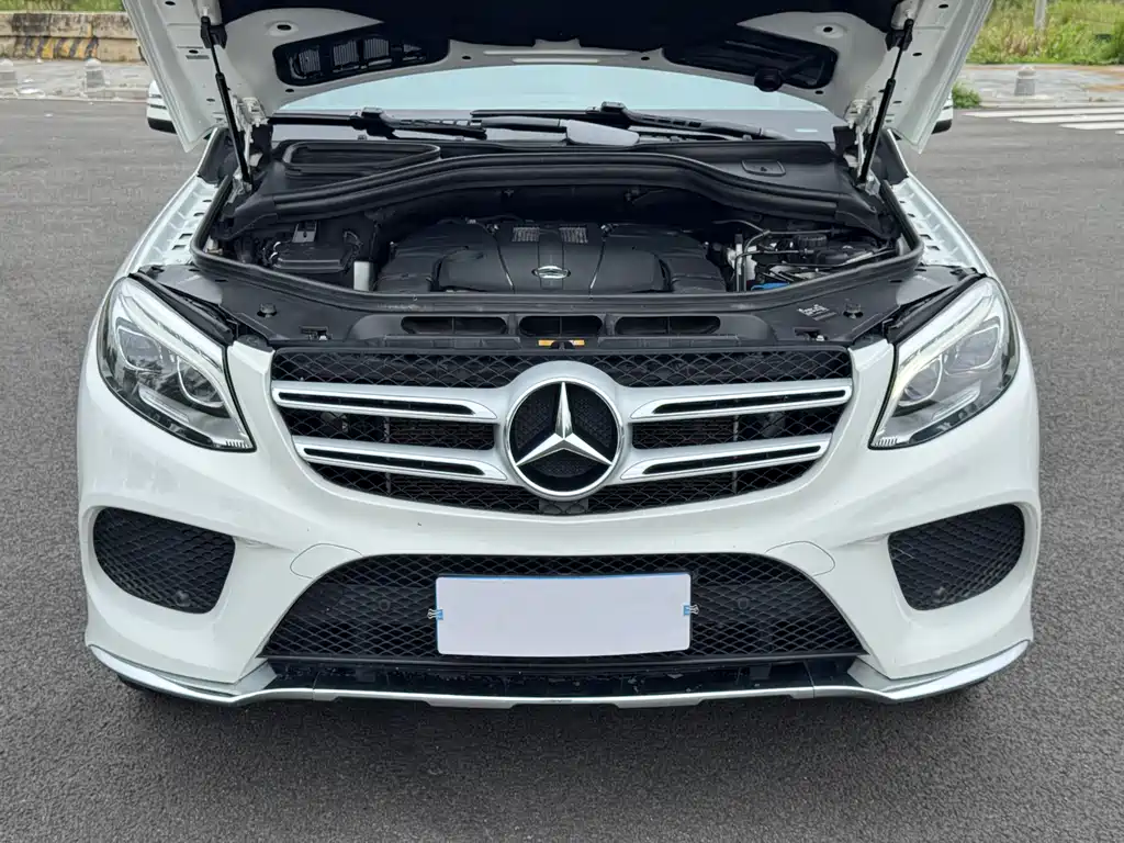 Mercedes-Benz GLE (Import) GLE 320 4MATIC, фото 19