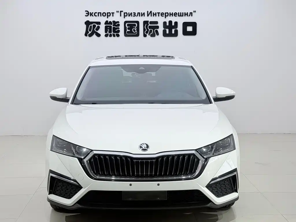 Skoda Octavia — миниатюра 2