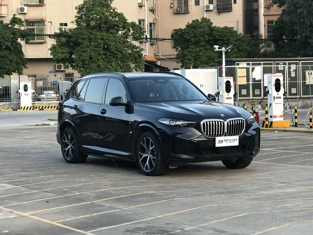 BMW X5 — миниатюра 2