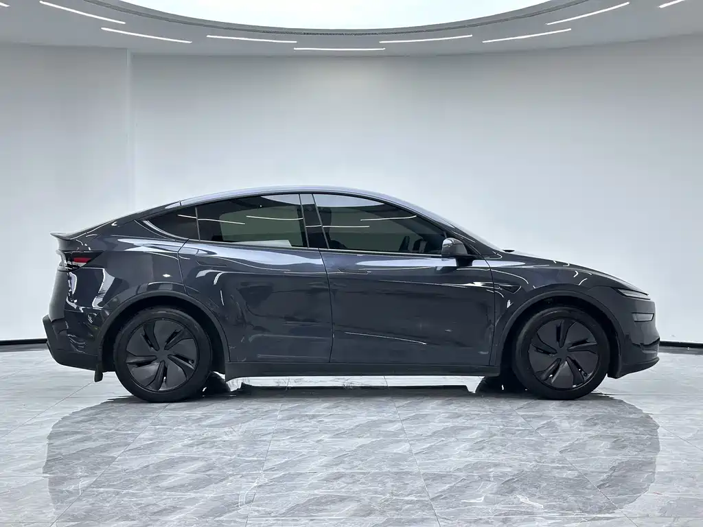 Tesla Model Y — миниатюра 10