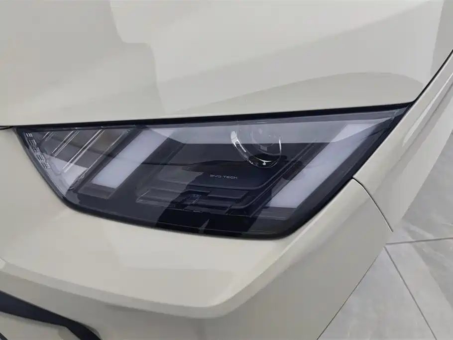 BYD Seagull 2024 305km