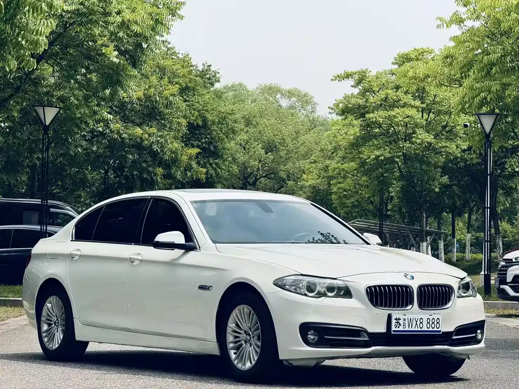 BMW 5 Series 5 2013 525Li Lead