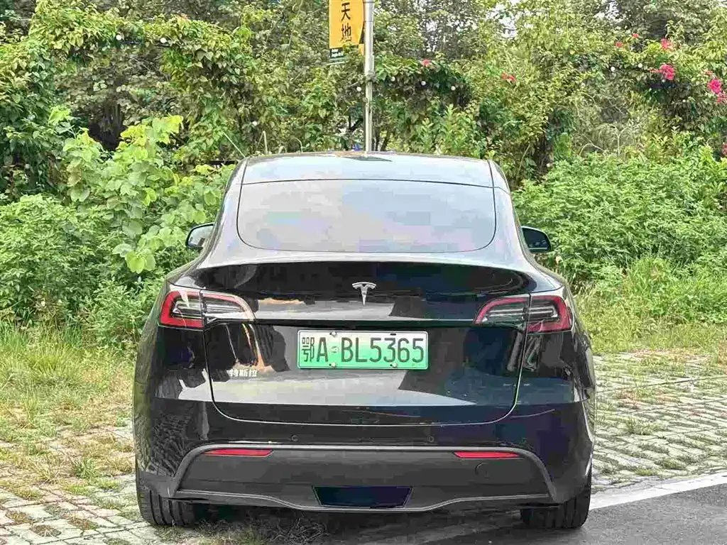 Tesla Model Y — миниатюра 4