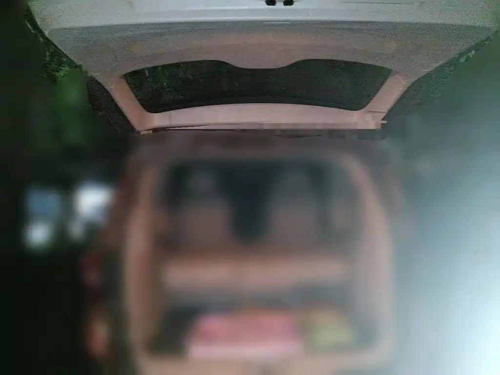 Buick GL8 — миниатюра 15