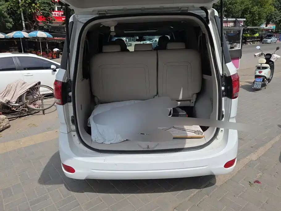 MAXUS G10 — миниатюра 4